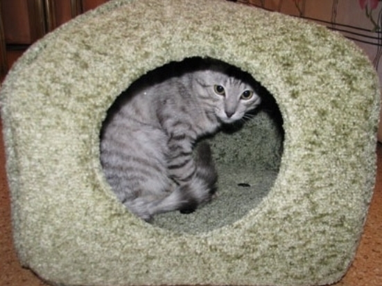 лежанка для кота из пальто